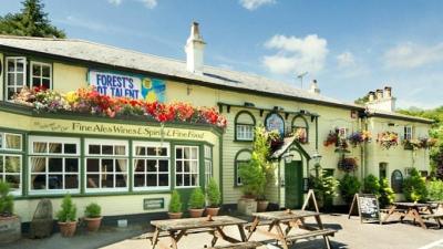 THE NEW FOREST INN - image 1