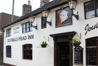 OLD BULLS HEAD - image 1