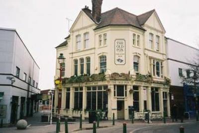 The Old Fox - image 1