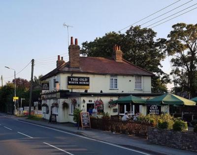 The Old White Horse - image 1