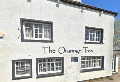 The Orange Tree - image 1