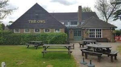 The Owl Ltd - image 1