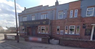 The Pack Horse - image 1