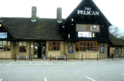 The Pelican - image 1