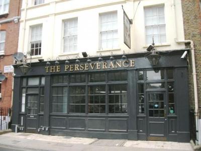 The Perseverance - image 1