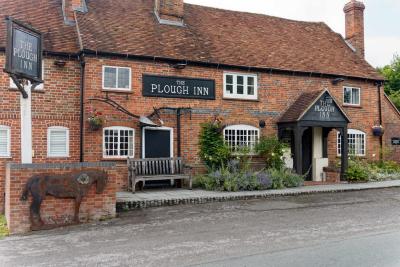 The Plough - image 1