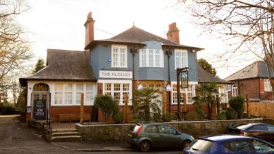 The Plough - image 1