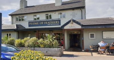 The Plume Of Feathers - image 1