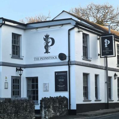 The Plymstock Inn - image 1