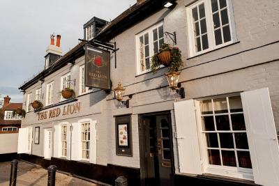 The Red Lion - image 1