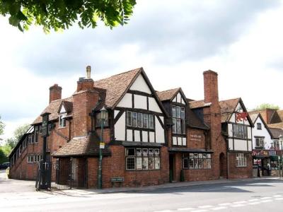 The Red Lion - image 1