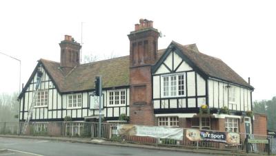 The Red Lion - image 1