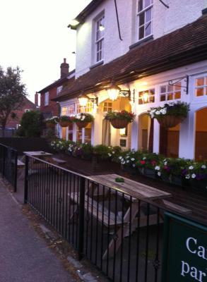 Red Lion - image 1