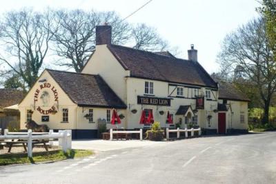 THE RED LION BOLDRE - image 1
