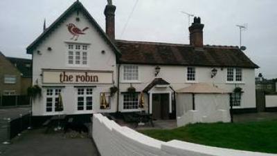 The Robin - image 1