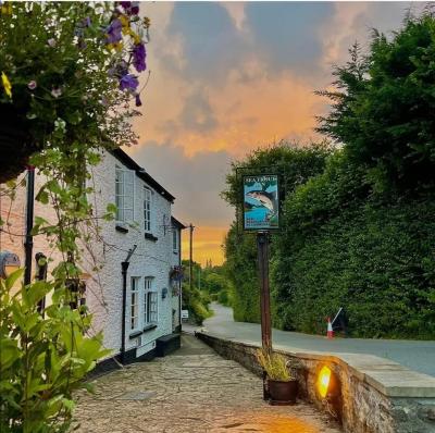 The Sea Trout Inn - image 1