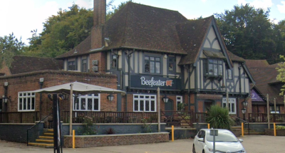 Sir Thomas Wyatt - image 1