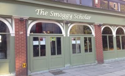 The Smoggy Scholar - image 1