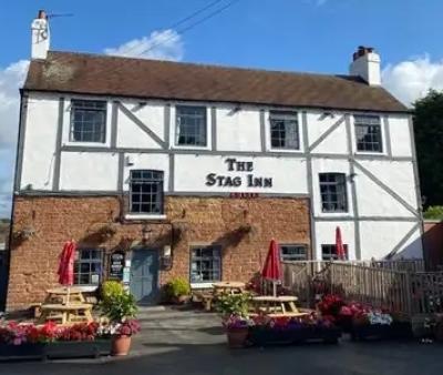 The Stag Inn - image 1