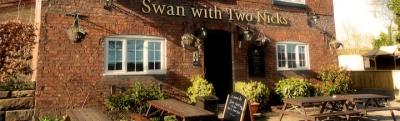 Swan With 2 Nicks - image 1