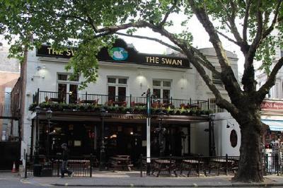 The Swan - image 2