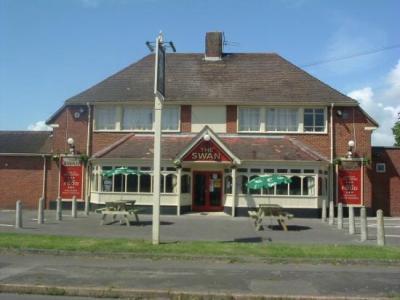 The Swan - image 1