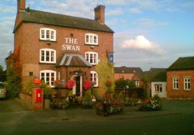 THE SWAN - image 1