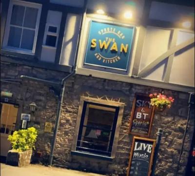 Swan Hotel - image 1