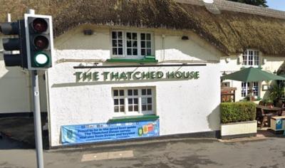 The Thatched House - image 1