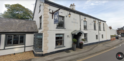 The Griffin - image 1