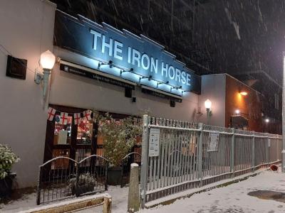 The Iron Horse - image 1