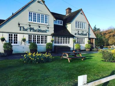 The Pheasant at Buckland - image 1