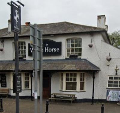 The White Horse - image 1