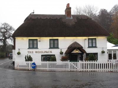 THE WOOLPACK - image 1