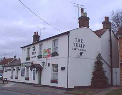 The Tulip - image 1