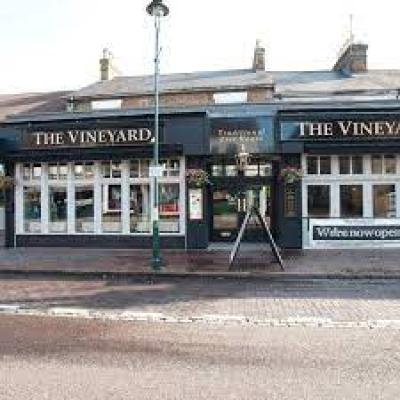The Vineyard - image 1