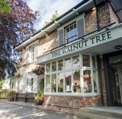 The Walnut Tree - image 1