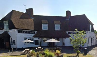 The White Hart - image 1