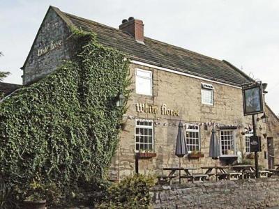 The White Horse - image 2