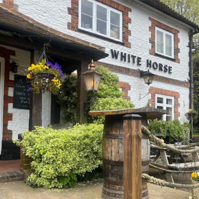 The White Horse - image 1