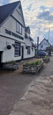 The White Horse - image 1