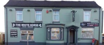 White Horse - image 1