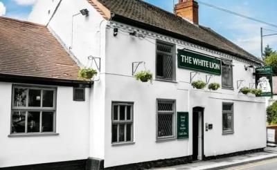 The White Lion - image 1