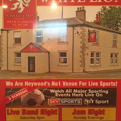 White Lion - image 1