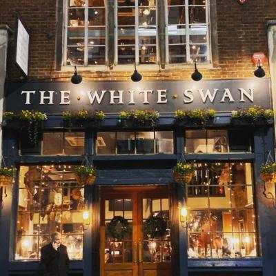 The White Swan - image 1