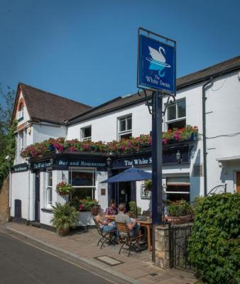 The White Swan - image 1