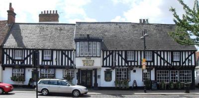 The White Swan - image 1