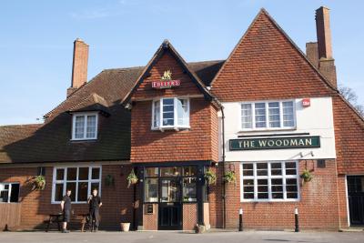 The Woodman - image 1