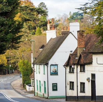 Ye Olde Ship Inn - image 1