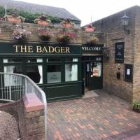 The Badger - image 1